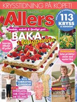 Allers SE